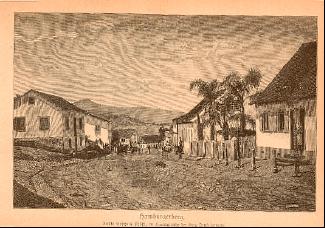 Hugo Zoeller Die Deutschen im brasilischen Urwald