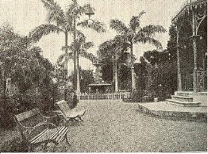 Jardim de Manaus