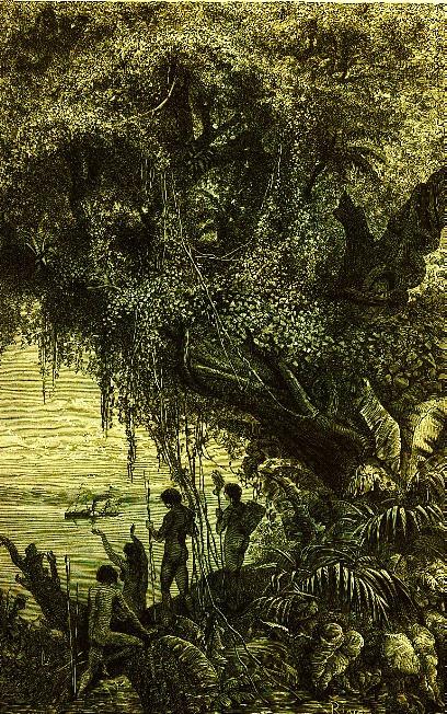 Romantismo e Amazonia