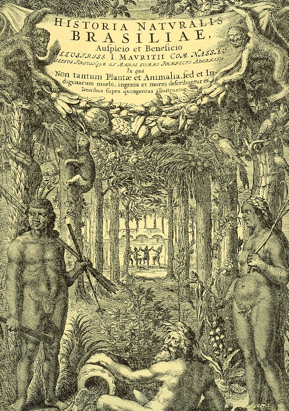 Jorge Marcqrave Historia Naturalis Brasiliae